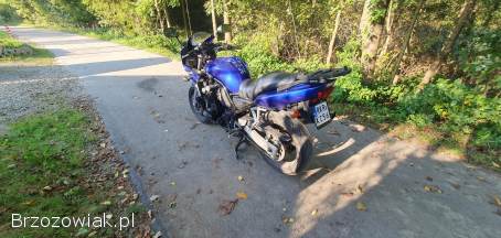 Yamaha FZS 2003