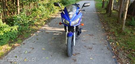 Yamaha FZS 2003