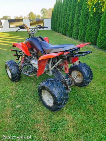 Quad Bashan 200