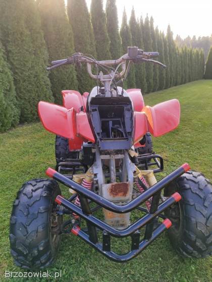 Quad Bashan 200