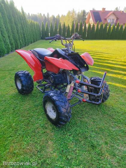 Quad Bashan 200