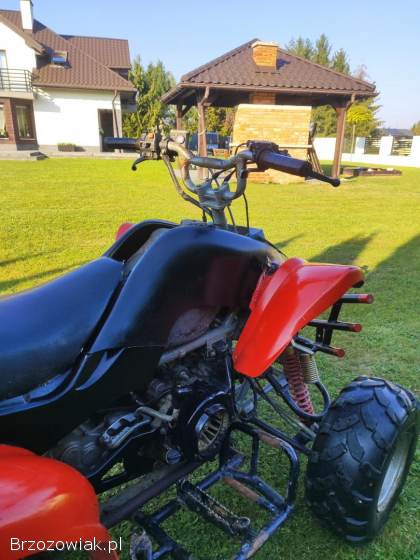 Quad Bashan 200