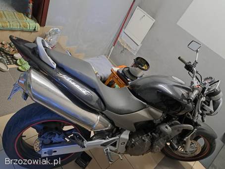 Honda Hornet 2003