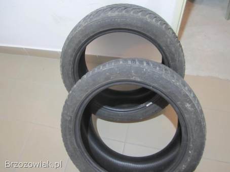 2x wielosezonowe Nokian 225/45R17