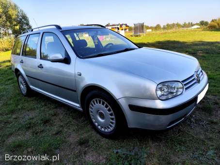 Volkswagen Golf 1.  9TDI 2001 Rok  2001