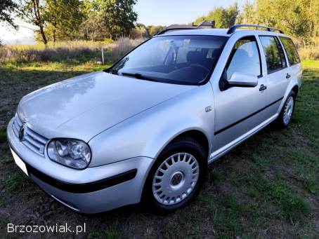 Volkswagen Golf 1.  9TDI 2001 Rok  2001