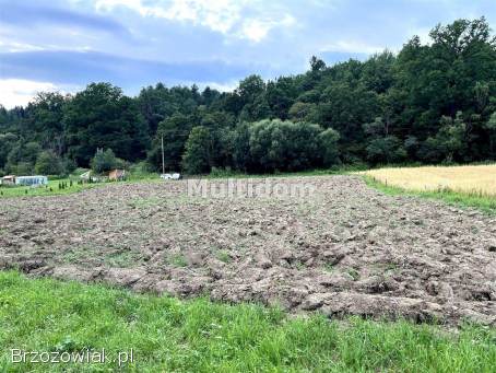 Działka nad rzeką (Sanem) z linią brzegową