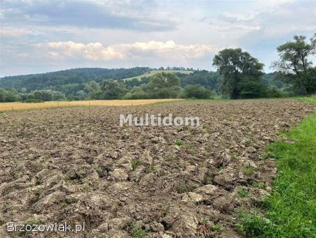 Działka nad rzeką (Sanem) z linią brzegową