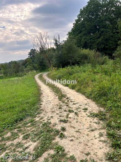 Działka nad rzeką (Sanem) z linią brzegową