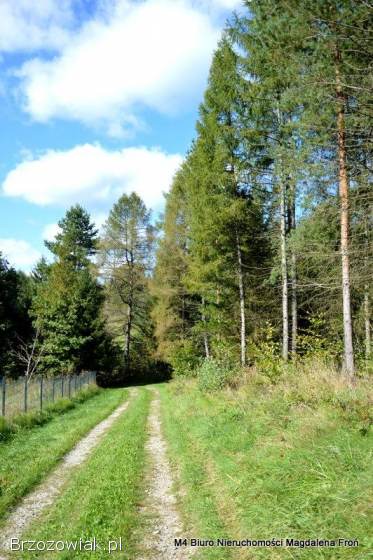 Turze Pole działka 1,  80ha -  malownicze widoki,  natura,  potencjał inwestycyjny.