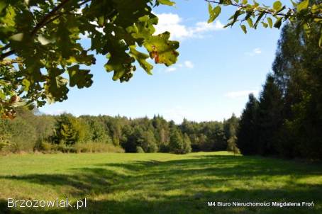 Turze Pole działka 1,  80ha -  malownicze widoki,  natura,  potencjał inwestycyjny.