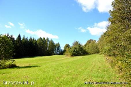 Turze Pole działka 1,  80ha -  malownicze widoki,  natura,  potencjał inwestycyjny.