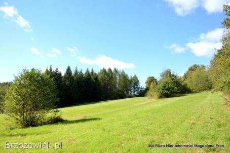 Turze Pole działka 1,  80ha -  malownicze widoki,  natura,  potencjał inwestycyjny.