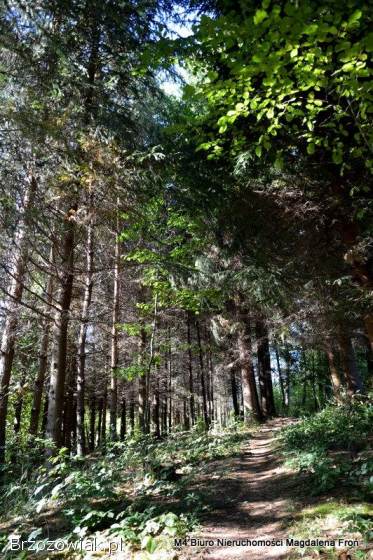 Turze Pole działka 1,  80ha -  malownicze widoki,  natura,  potencjał inwestycyjny.