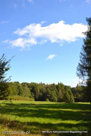 Turze Pole działka 1,  80ha -  malownicze widoki,  natura,  potencjał inwestycyjny.