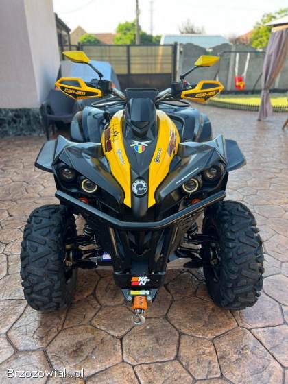 Can am Renegade 800