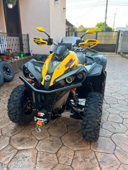 Can am Renegade 800