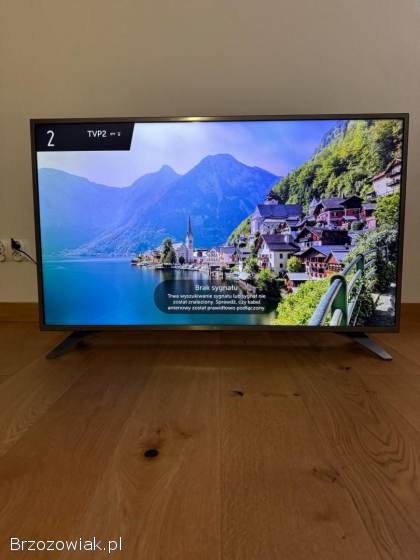 Sprzedam telewizor LG 49 calii