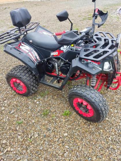 Quad 250 Apollo Magnum