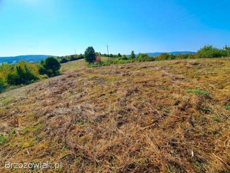 Widokowa działka pod zabudowę jednorodzinną 28,  15 ar Markowce