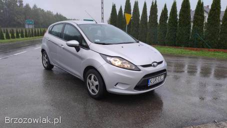 Ford Fiesta 2010