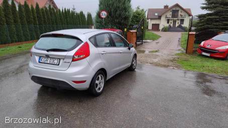 Ford Fiesta 2010