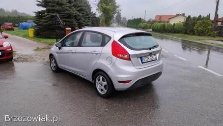 Ford Fiesta 2010