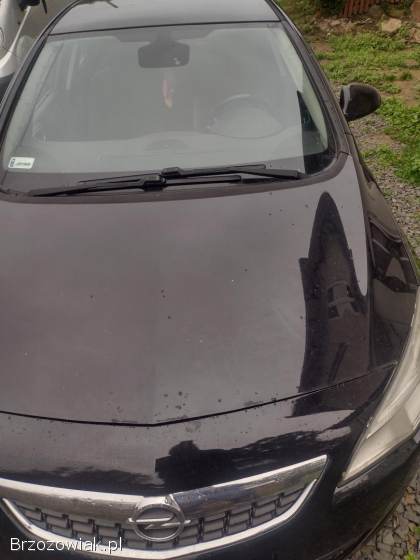 Opel Astra 2010