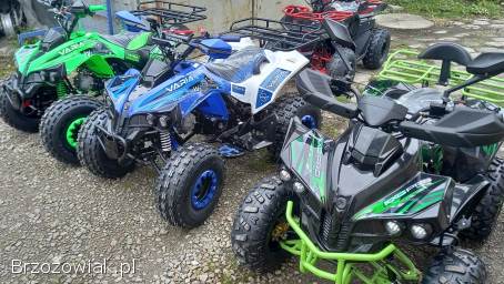 Quad waria 125 beretta