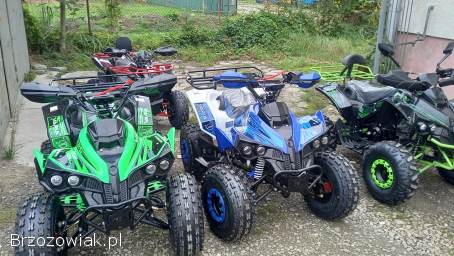 Quad waria 125 beretta