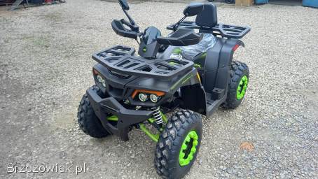 Quad Fourcraft ultra 250 atv magnum