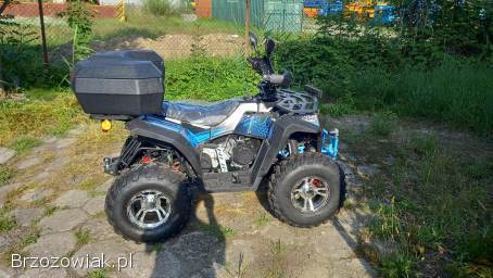 Quad Fourcraft ultra 250 atv magnum