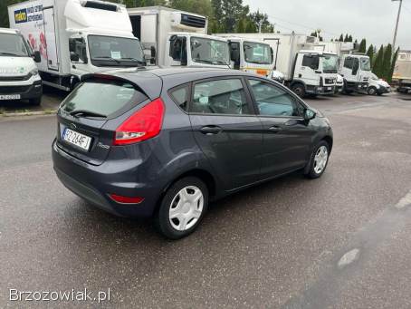 Ford Fiesta Trend 2009