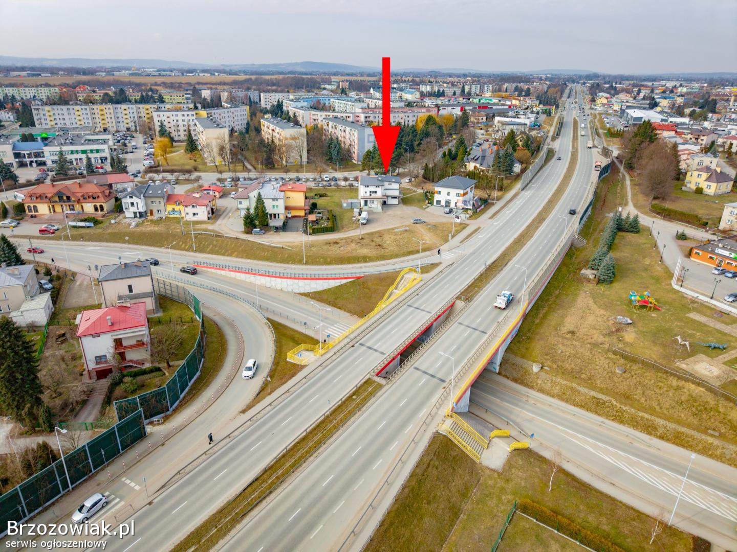 Lokal do wynajęcia Krosno