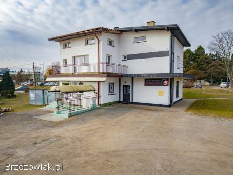 Lokal do wynajęcia Krosno