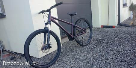 Rower Kellys Whip 10