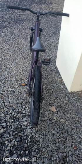 Rower Kellys Whip 10