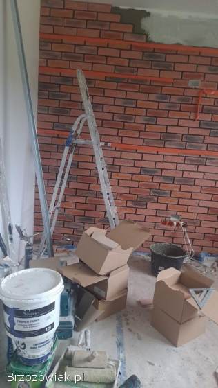Budowa domów wykończenia elewację dachy