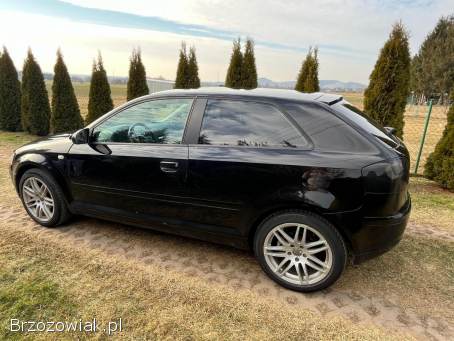 Audi A3 8P 2007