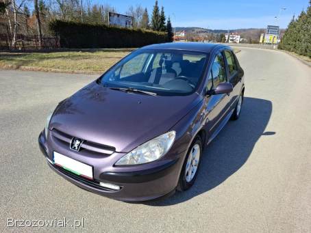 Peugeot 307 Klima Alu Kamera 2003