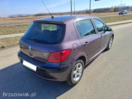 Peugeot 307 Klima Alu Kamera 2003