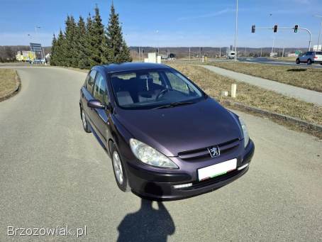 Peugeot 307 Klima Alu Kamera 2003