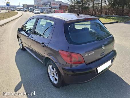 Peugeot 307 Klima Alu Kamera 2003