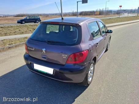 Peugeot 307 Klima Alu Kamera 2003