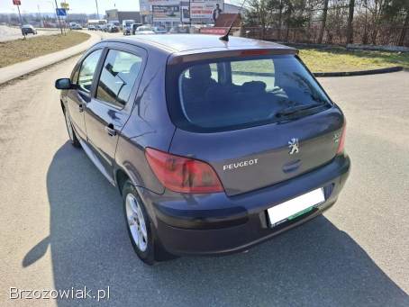 Peugeot 307 Klima Alu Kamera 2003