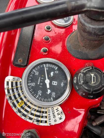 Massey Ferguson 240 Anglik