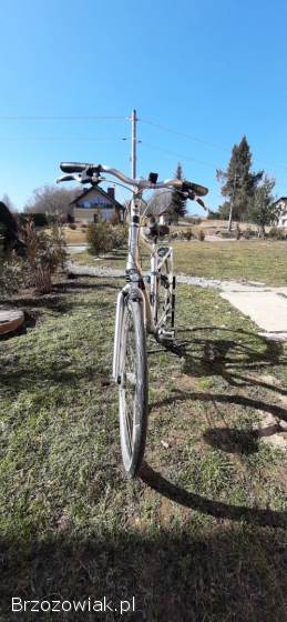 Rower Giant 28 kola,  Rama L