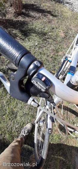 Rower Giant 28 kola,  Rama L