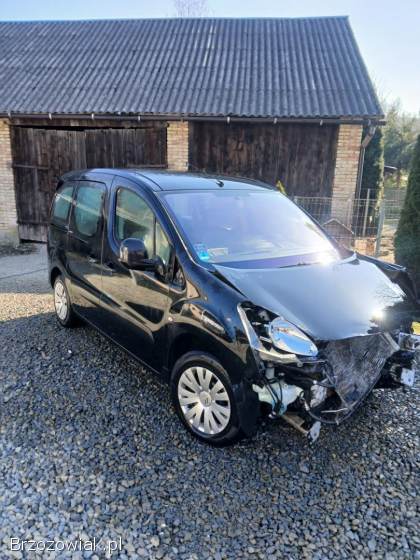 Citroën Berlingo Multispace  2009