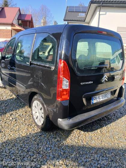 Citroën Berlingo Multispace  2009